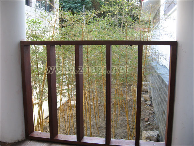 宜春市林業(yè)科學(xué)研究從本公司引種的竹子