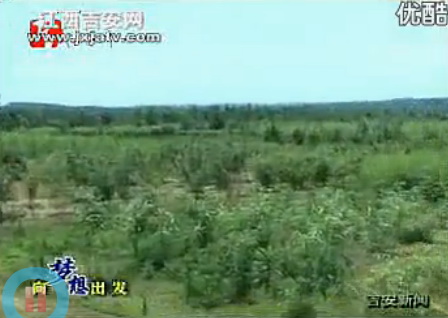 吉安電視臺-大學(xué)生陳小軍：在丘陵山地上放飛夢想